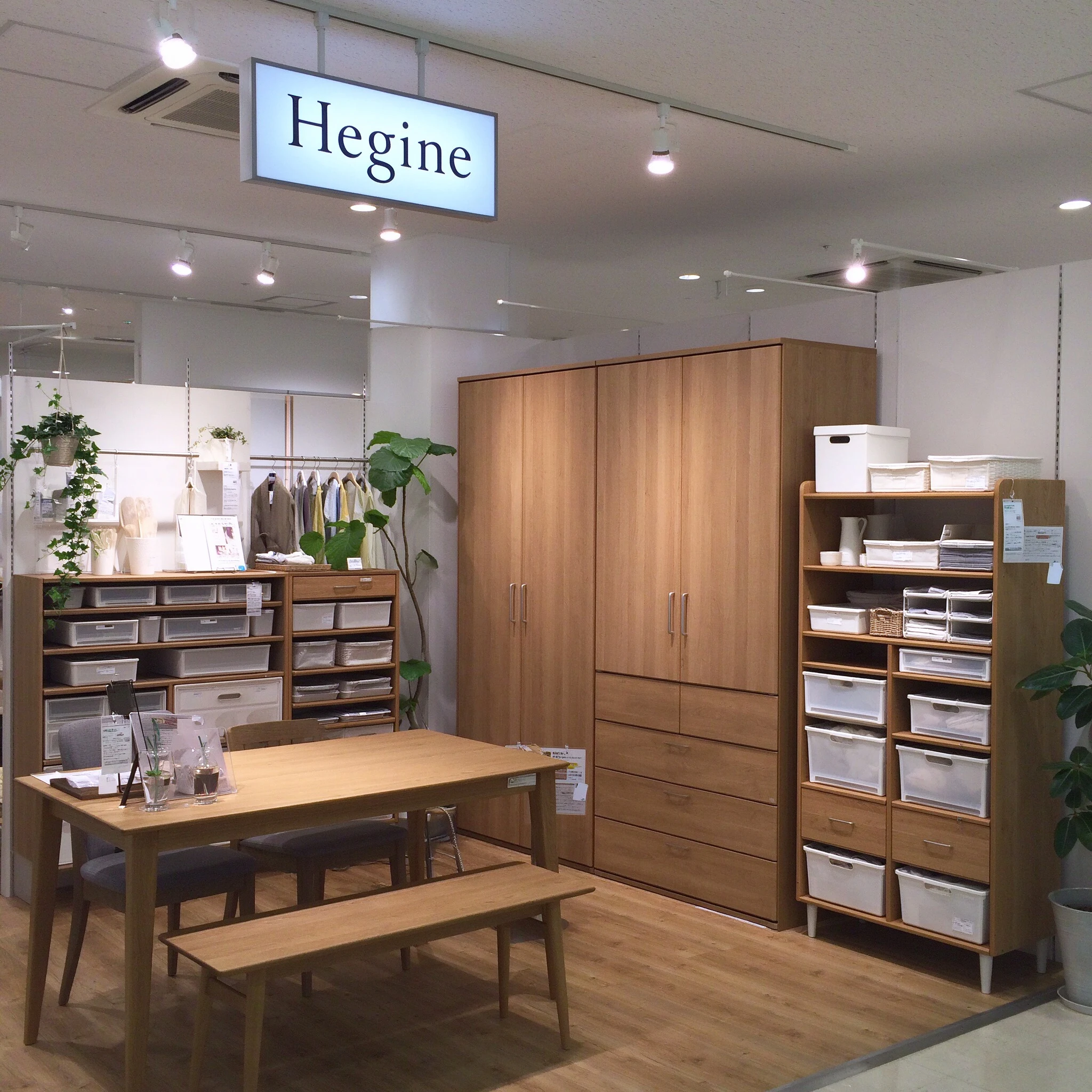 Hegine商标图片