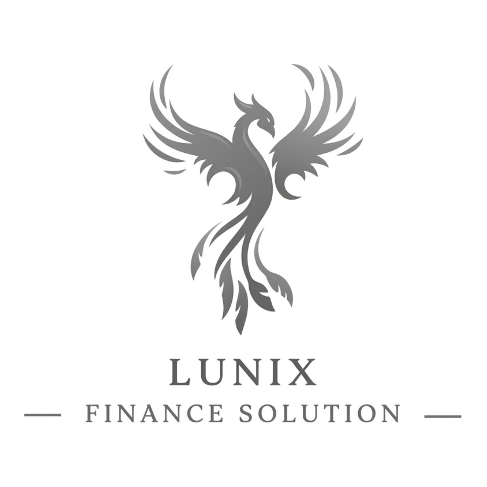 LUNIX FINANCE SOLUTION商标图样