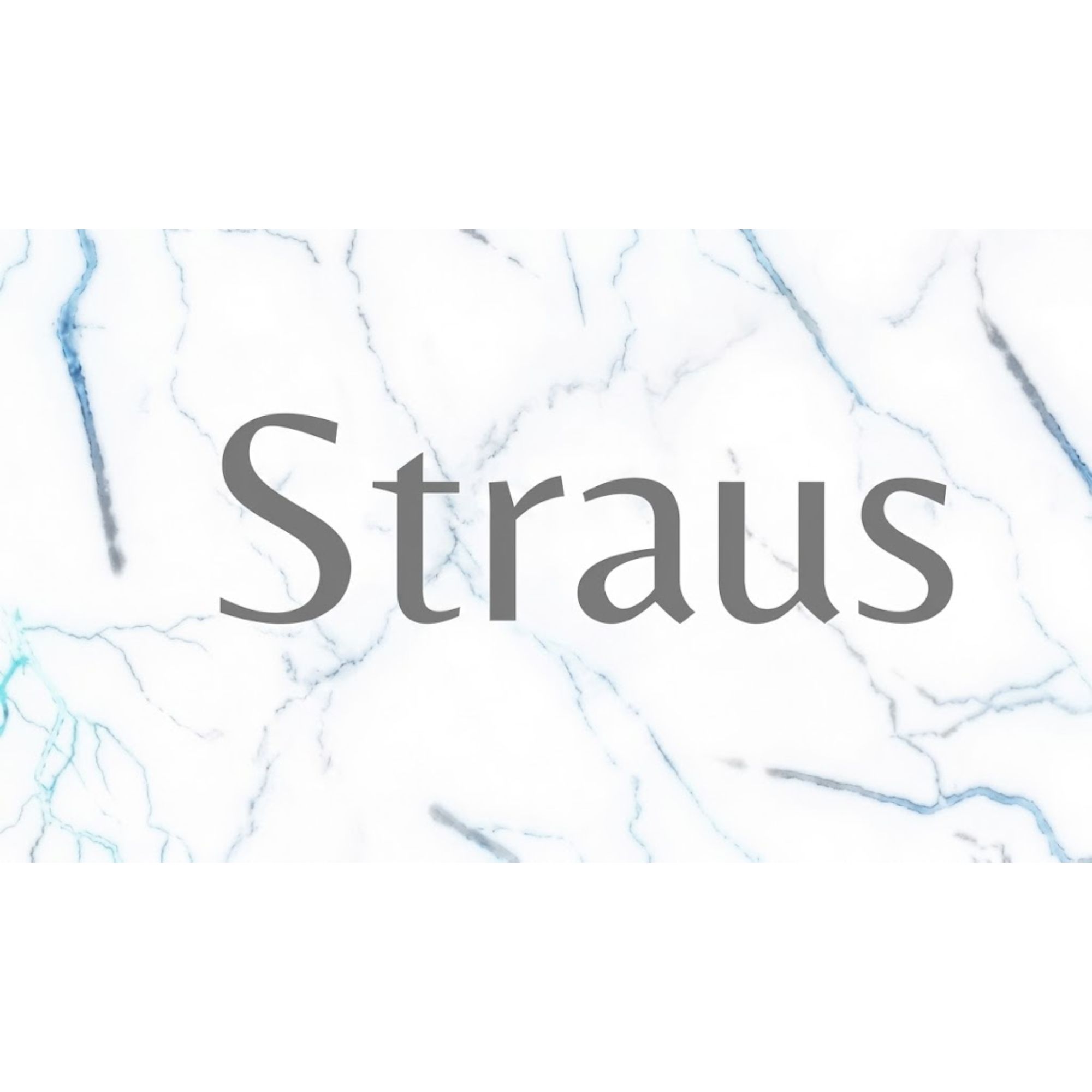 STRAUS商标图样
