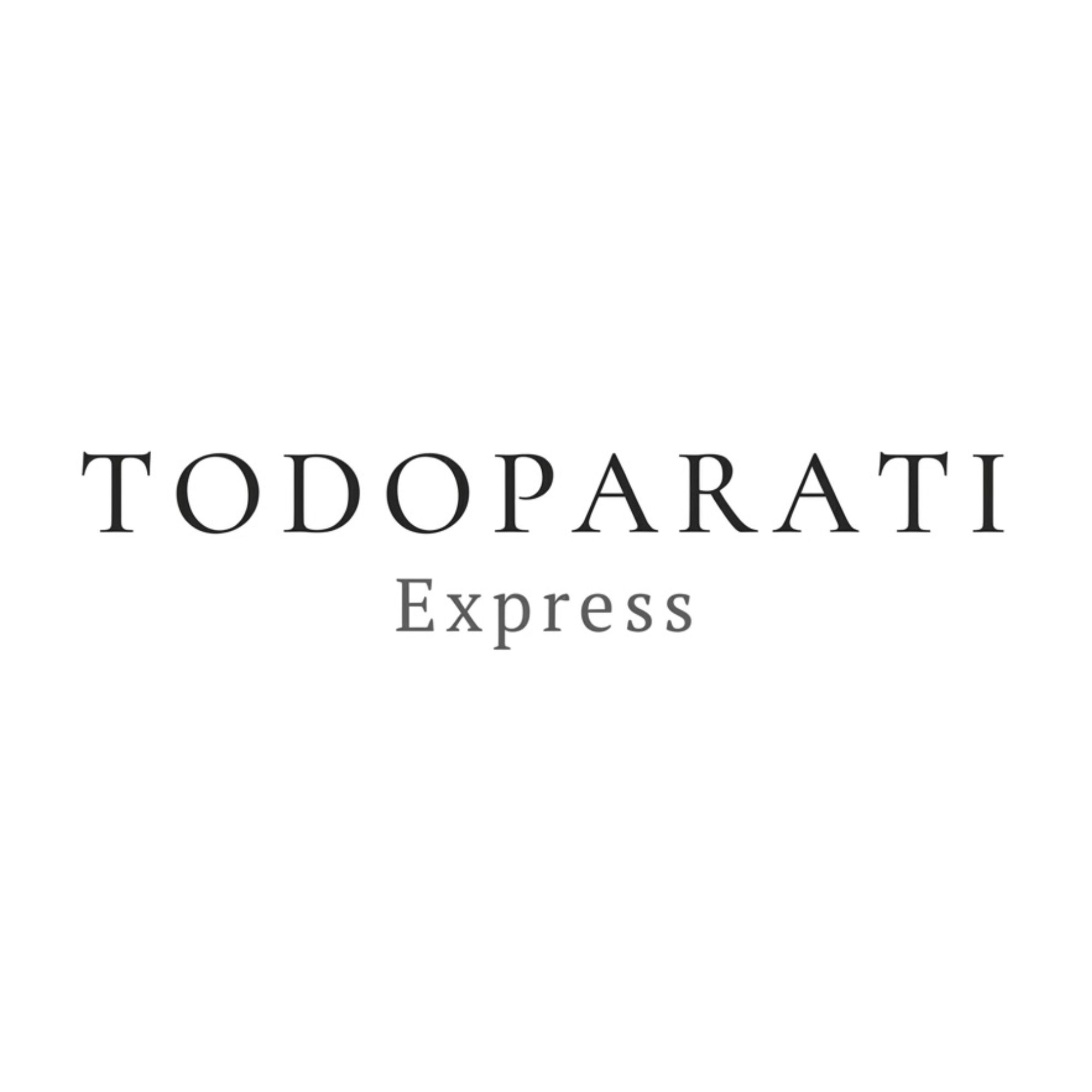 TODOPARATI EXPRESS商标图样
