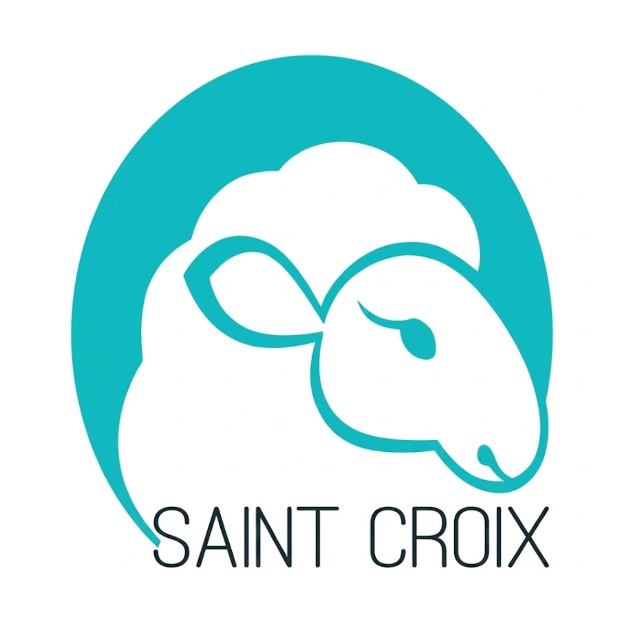 SAINT CROIX商标图样