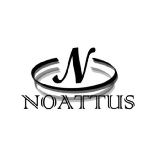 N NOATTUS商标图样